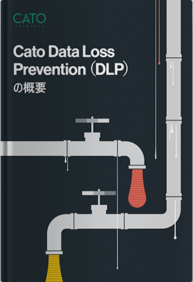 Cato Data Loss Prevention (DLP) の概要