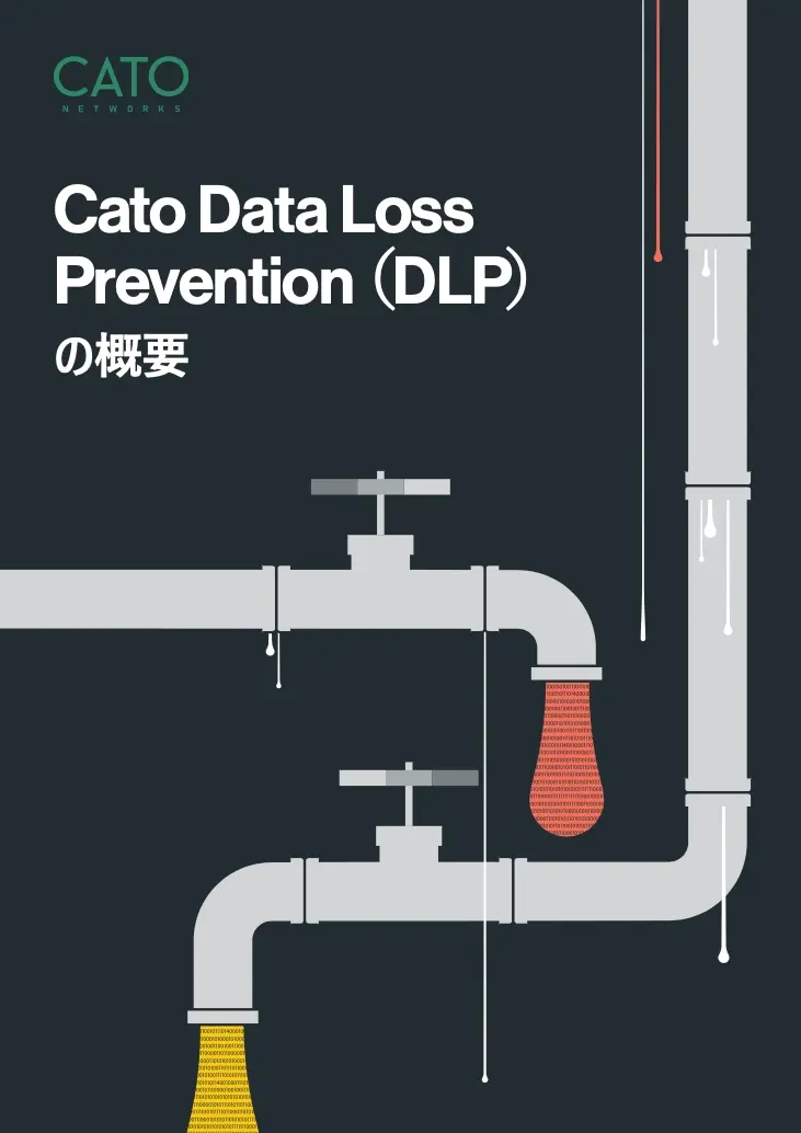 Cato Data Loss Prevention (DLP) の概要